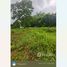  Земельный участок for sale in Tak Daet, Chumphon, Tak Daet, Mueang Chumphon, Chumphon