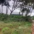  Land for sale in Ko Lanta Krabi, Ko Klang, Ko Lanta, Krabi, Thailand
