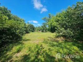  Land for sale in Ubon Ratchathani, Nong Khon, Mueang Ubon Ratchathani, Ubon Ratchathani