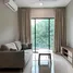 Studio Penthouse for rent at Sky Green, Sennett, Toa payoh, Central Region