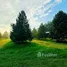  Land for sale in Khlong Pun, Rayong, Khlong Pun