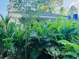 วิลล่า 1 ห้องนอน ให้เช่า ในโครงการ เทคาโป วิลล่า, เกาะพะงัน, เกาะพะงัน, สุราษฎร์ธานี, ไทย