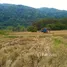  Land for sale in Thailand, Tha Sut, Mueang Chiang Rai, Chiang Rai, Thailand