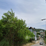  Land for sale in Kathu, Phuket, Patong, Kathu