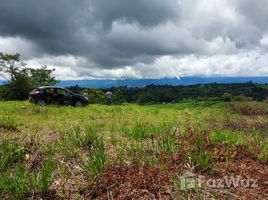  Terrain for sale in Costa Rica, Coto Brus, Puntarenas, Costa Rica
