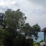  Land for sale in Ko Pha-Ngan, Surat Thani, Ko Pha-Ngan, Ko Pha-Ngan