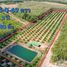  Земельный участок for sale in Klaeng, Районг, Klaeng