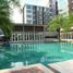 1 Bedroom Condo for sale at Elements Srinakarin, Nong Bon, Prawet