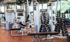 รูปถ่าย 3 of the Communal Gym at ไฮทส์ คอนโด บาย ซันเพลย์