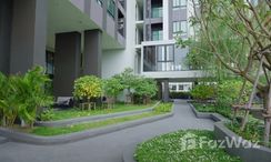 Фото 2 of the Communal Garden Area at Nue Noble Srinakarin - Lasalle