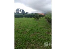  Terrain for sale in San Carlos, Alajuela, San Carlos