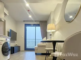 คอนโด 1 ห้องนอน ให้เช่า ในโครงการ เดอะ คราวน์ เรสซิเดนท์เซส, ทุ่งมหาเมฆ, สาทร