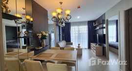 ยูนิตที่เหลืออยู่ในโครงการ เอลิโอ เดล เรย์