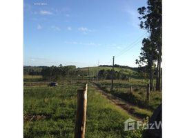  Terrain for sale in Rio Grande do Sul, Nova Hartz, Nova Hartz, Rio Grande do Sul