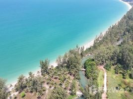 ขายที่ดิน ใน บางม่วง, พังงา, บางม่วง