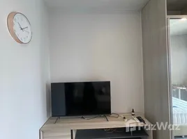 คอนโด สตูดิโอ ให้เช่า ในโครงการ เดอะ ทรี พัฒนาการ - เอกมัย, สวนหลวง, สวนหลวง