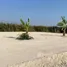  Land for sale in Lat Krabang, Bangkok, Lat Krabang
