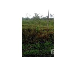 N/A Terreno (Parcela) en venta en , Alajuela Countryside Agricultural Land For Sale in Buena Vista, Buena Vista, Alajuela