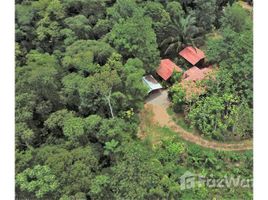 3 chambre Maison à vendre à Ojochal., Osa, Puntarenas, Costa Rica