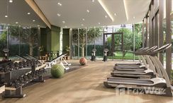 รูปถ่าย 3 of the Communal Gym at ดีคอนโด รีฟ ภูเก็ต