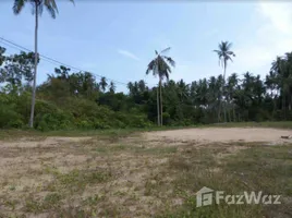  Grundstück zu verkaufen in Koh Samui, Surat Thani, Maenam