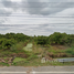  Land for sale in Mueang Lamphun, Lamphun, Ton Thong, Mueang Lamphun