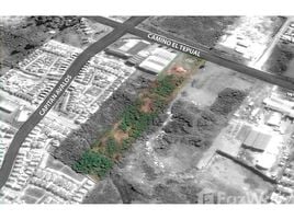  Terrain for sale in Los Lagos, Puerto Montt, Llanquihue, Los Lagos