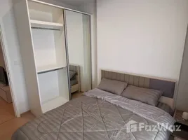 1 Bedroom Condo for rent at The Tree Sukhumvit 71-Ekamai, Suan Luang