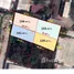  Land for sale in Nonthaburi, Khlong Kluea, Pak Kret, Nonthaburi