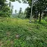  Land for sale in Khanom, Nakhon Si Thammarat, Khanom, Khanom, Nakhon Si Thammarat, Thailand