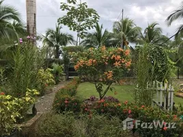 3 Schlafzimmer Haus zu verkaufen in Golfito, Puntarenas, Golfito