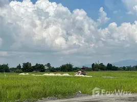  Terreno (Parcela) en venta en Tailandia, Pa Lan, Doi Saket, Chiang Mai, Tailandia