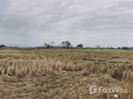 在清莱出售的 土地, Mueang Chiang Rai, 清莱