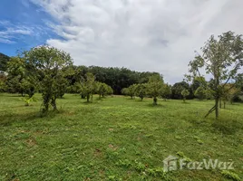 ขายที่ดิน ใน แม่น้ำ, สุราษฎร์ธานี, แม่น้ำ