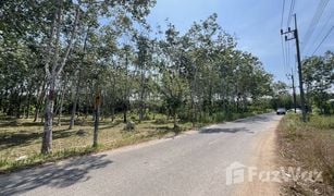 N/A Grundstück zu verkaufen in Pa Khlok, Phuket 