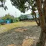 ขายที่ดิน ใน ป่าไผ่, เชียงใหม่, ป่าไผ่