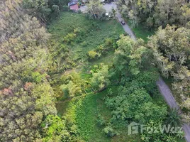 ขายที่ดิน ใน เทพกระษัตรี, ภูเก็ต, เทพกระษัตรี