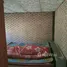 ขายบ้านเดี่ยว 3 ห้องนอน ใน หาดแพง, นครพนม, หาดแพง, ศรีสงคราม, นครพนม, ไทย