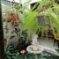 在Guanacaste出售的6 卧室 屋, Liberia, Guanacaste