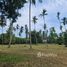  Land for sale in Na Mueang, Koh Samui, Na Mueang