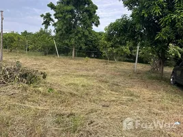 ขายที่ดิน ใน ลำโพ, นนทบุรี, ลำโพ