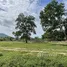 ขายที่ดิน ใน ตะพง, ระยอง, ตะพง, เมืองระยอง, ระยอง