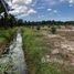  Land for sale in Nakhon Si Thammarat, Suan Luang, Chaloem Phra Kiat, Nakhon Si Thammarat