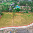  Land for sale in Wang Phong, Pran Buri, Wang Phong