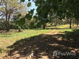  Terreno (Parcela) en venta en Santa Cruz, Guanacaste, Santa Cruz