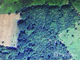  Land for sale in El Porvenir Atlantida, El Porvenir, Atlantida, Honduras