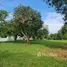 2 Bedroom House for sale in Huai Sak, Chiang Rai, Huai Sak, Mueang Chiang Rai, Chiang Rai
