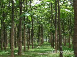  Grundstück zu verkaufen in Tha Muang, Kanchanaburi, Rang Sali, Tha Muang, Kanchanaburi, Thailand