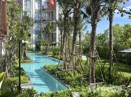 อพาร์ทเม้นท์ สตูดิโอ ให้เช่า ในโครงการ แคนวาส เชิงทะเล, เชิงทะเล