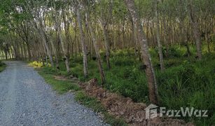 Земельный участок, N/A на продажу в Nang Long, Nakhon Si Thammarat 